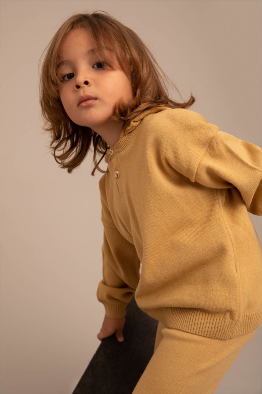 BABY BOY Camel Baby Boy Regular Fit Hooded Basic Pullover Bottom Set