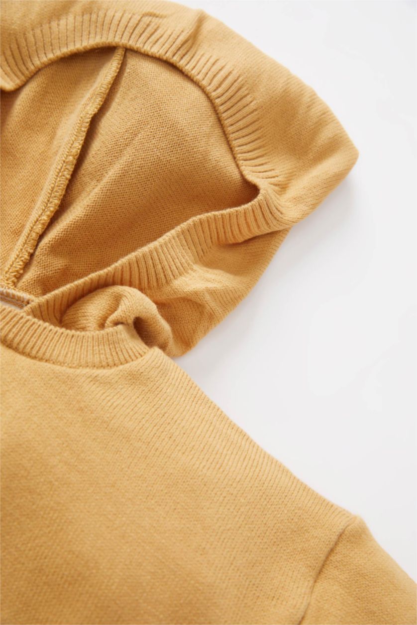 BABY BOY Camel Baby Boy Regular Fit Hooded Basic Pullover Bottom Set