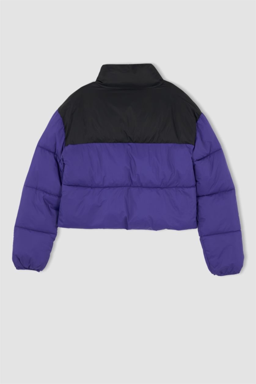 حريمي بنفسجي جاكيت بامب ملون قصة عادية ووتر بروف