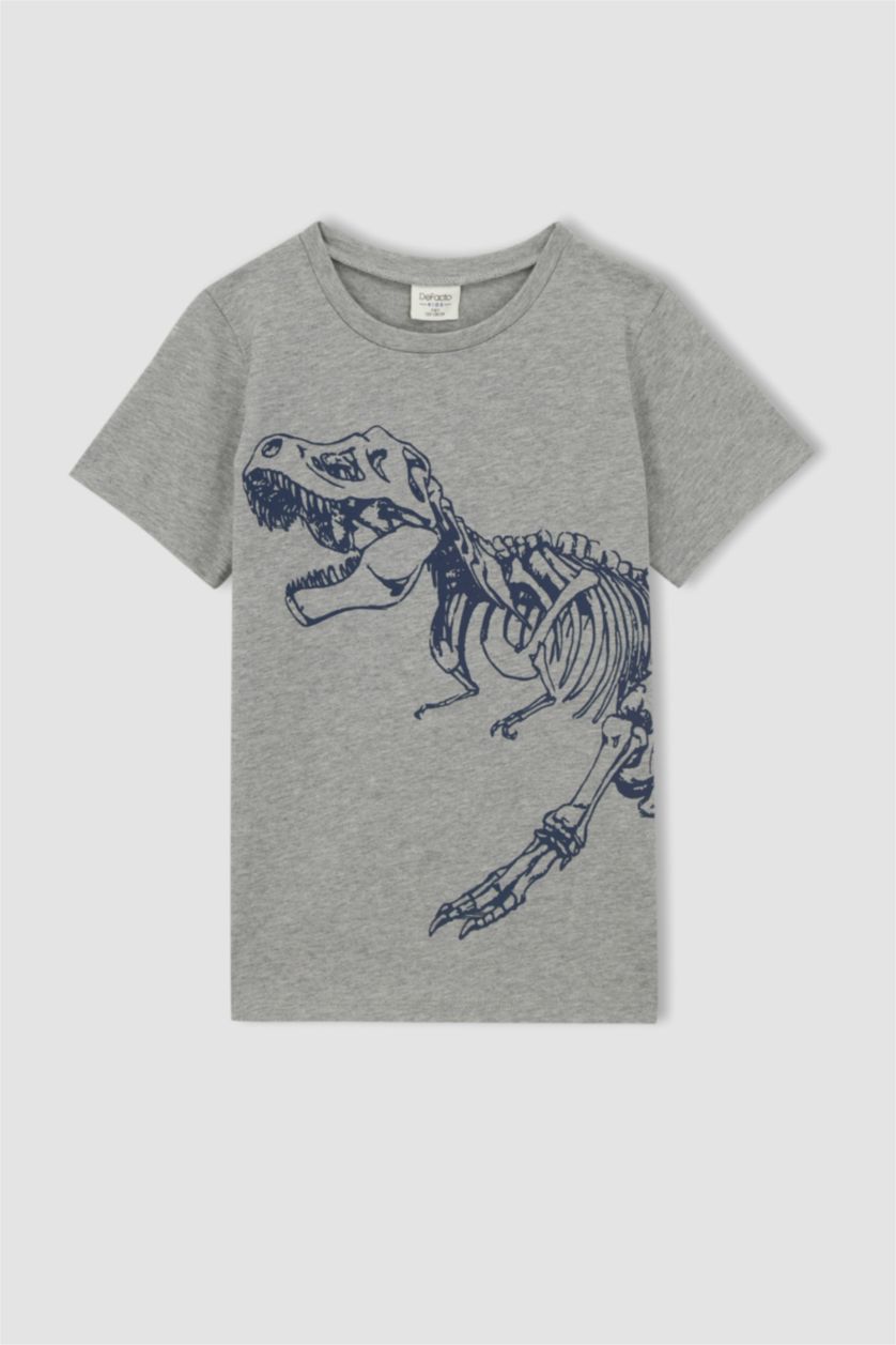 GARÇONS Gris T-shirt à manches courtes à imprimé dinosaure coupe standard pour garçon