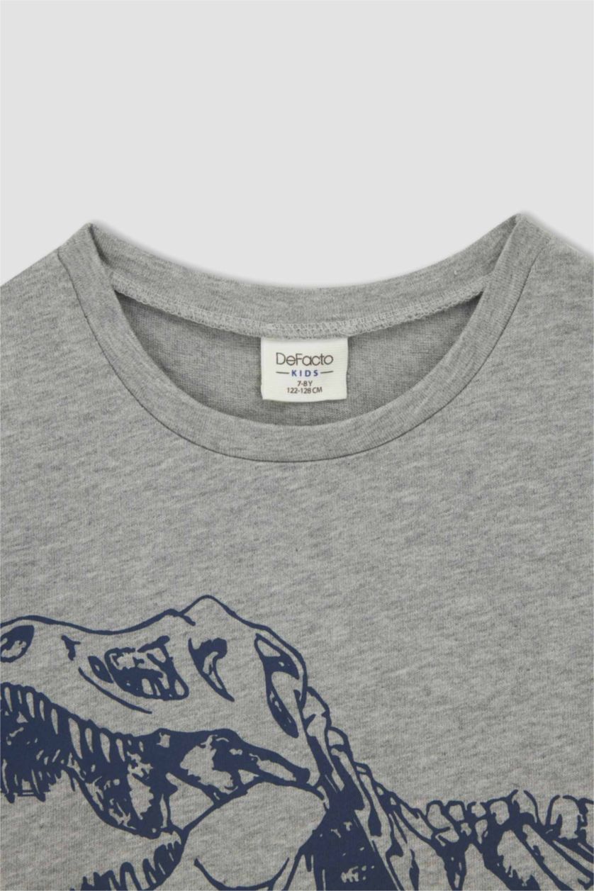 GARÇONS Gris T-shirt à manches courtes à imprimé dinosaure coupe standard pour garçon