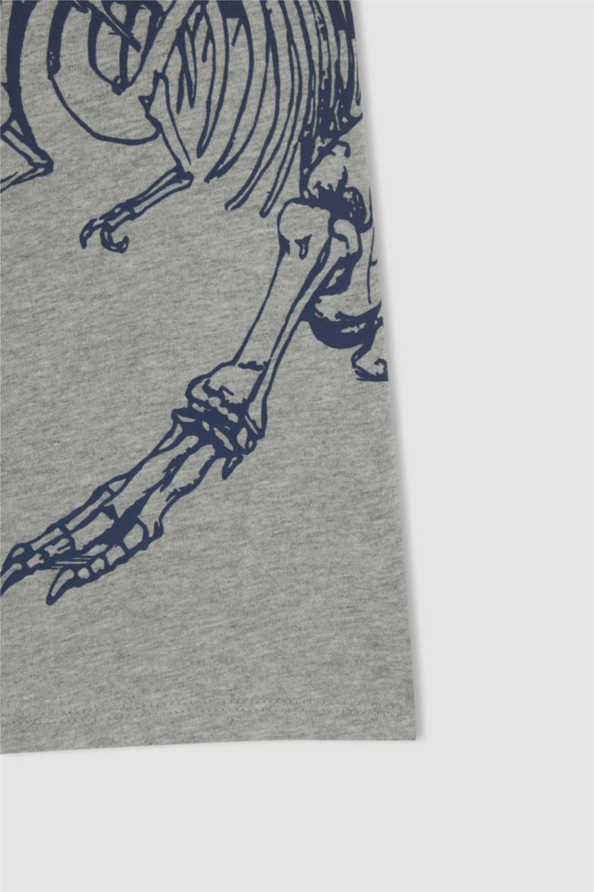 GARÇONS Gris T-shirt à manches courtes à imprimé dinosaure coupe standard pour garçon