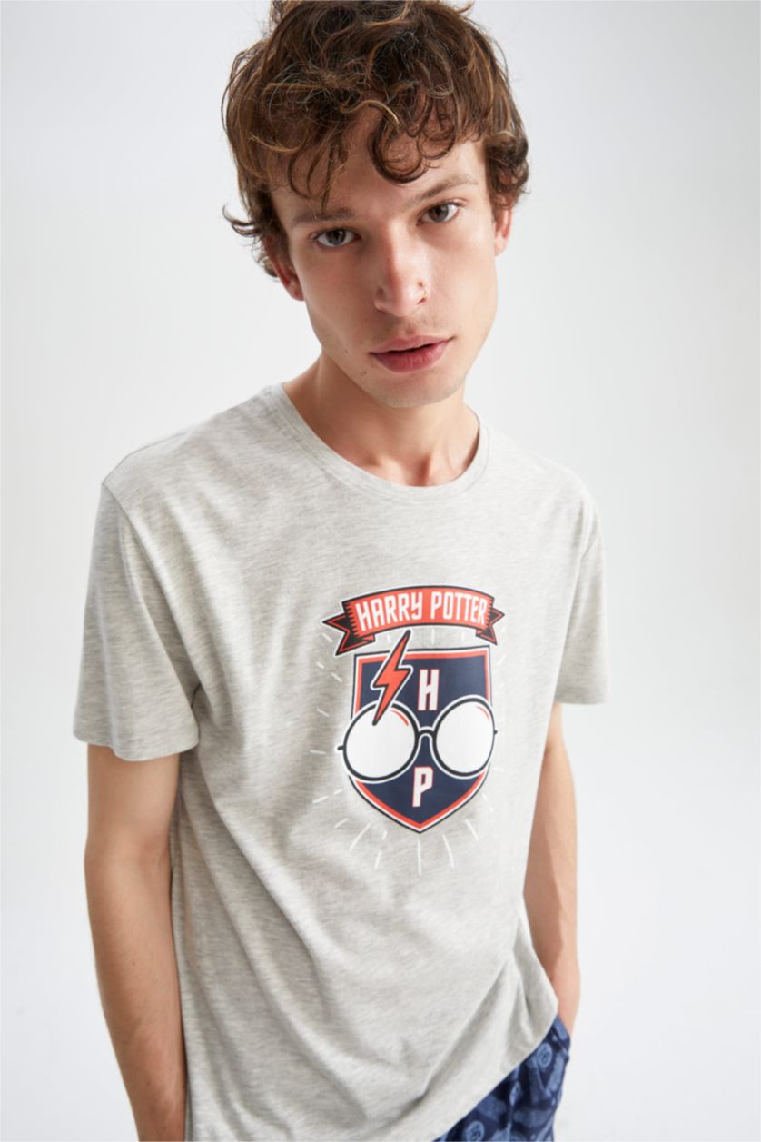 Erkek Gri Melanj Harry Potter Regular Fit Bisiklet Yaka 2'li Takım