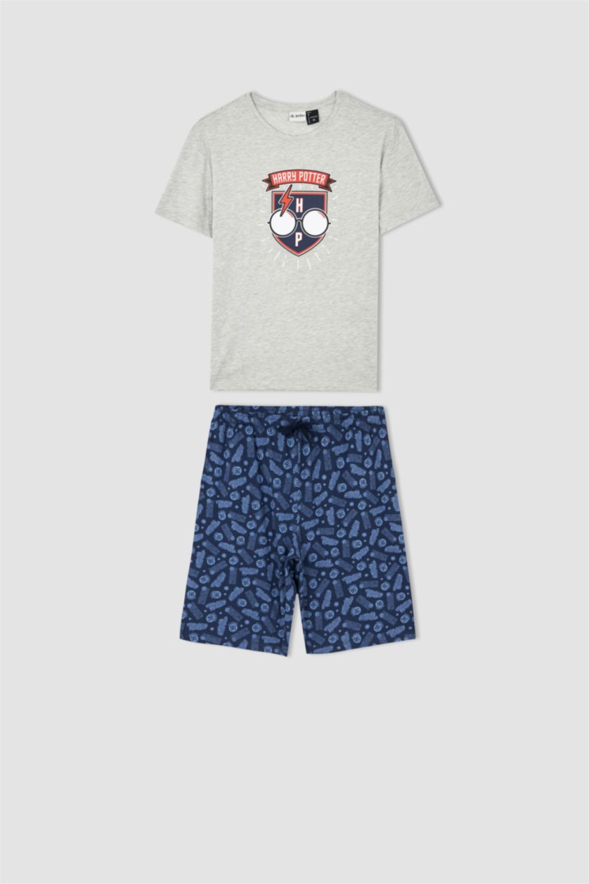 Erkek Gri Melanj Harry Potter Regular Fit Bisiklet Yaka 2'li Takım