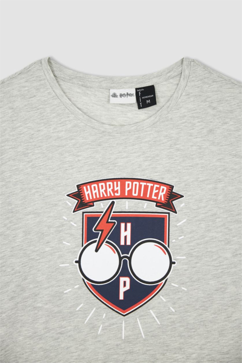 Erkek Gri Melanj Harry Potter Regular Fit Bisiklet Yaka 2'li Takım