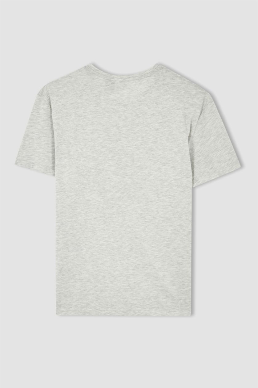 Erkek Gri Melanj Harry Potter Regular Fit Bisiklet Yaka 2'li Takım