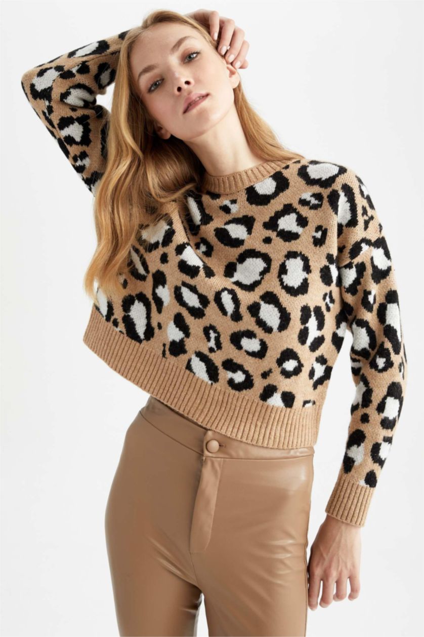 حريمي بيج بلوفر تايجر قصة عادية برقبة مستديرة