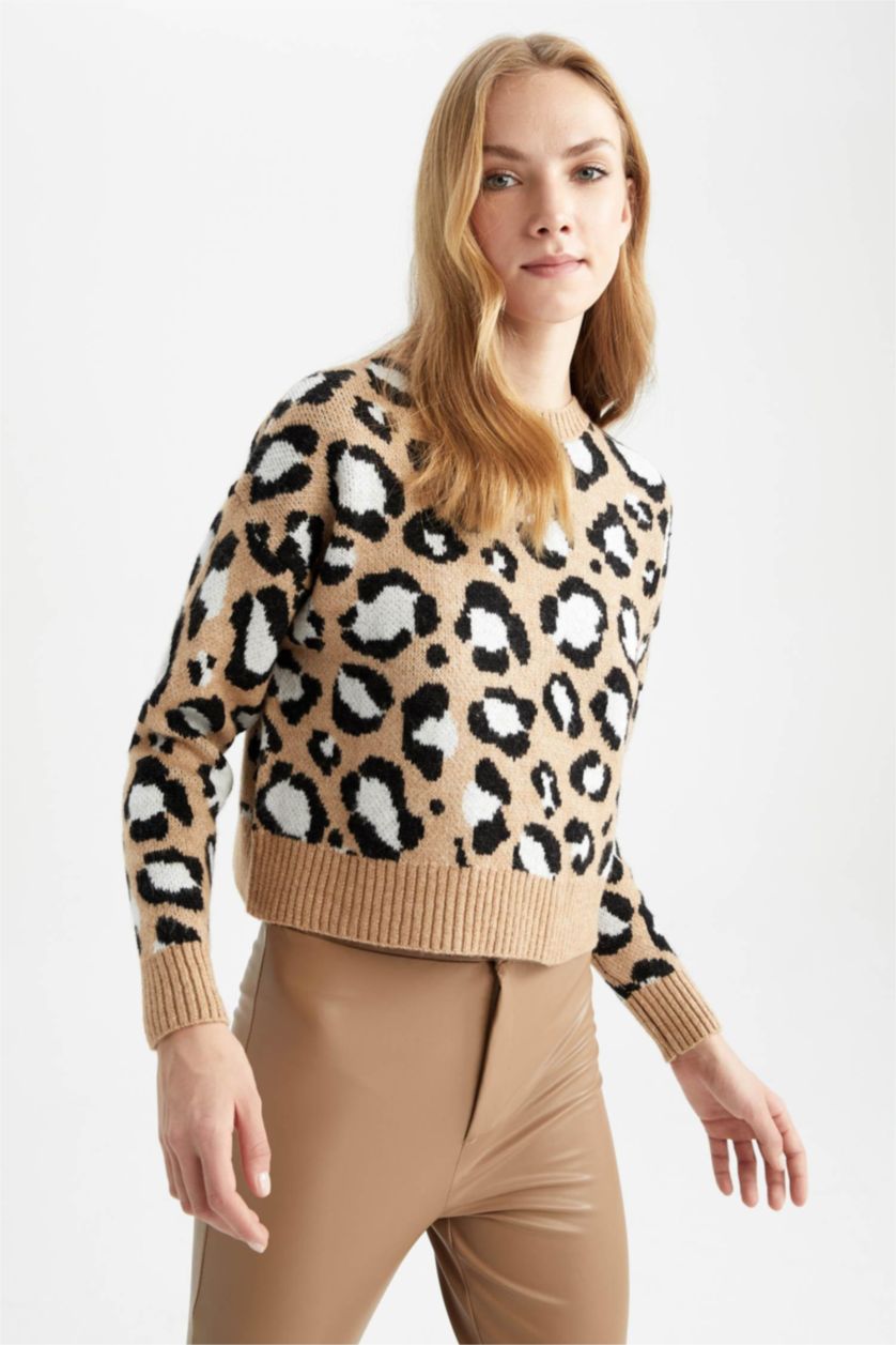 حريمي بيج بلوفر تايجر قصة عادية برقبة مستديرة