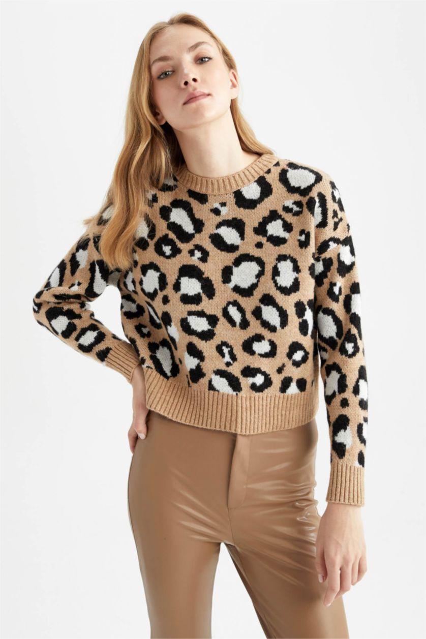 حريمي بيج بلوفر تايجر قصة عادية برقبة مستديرة