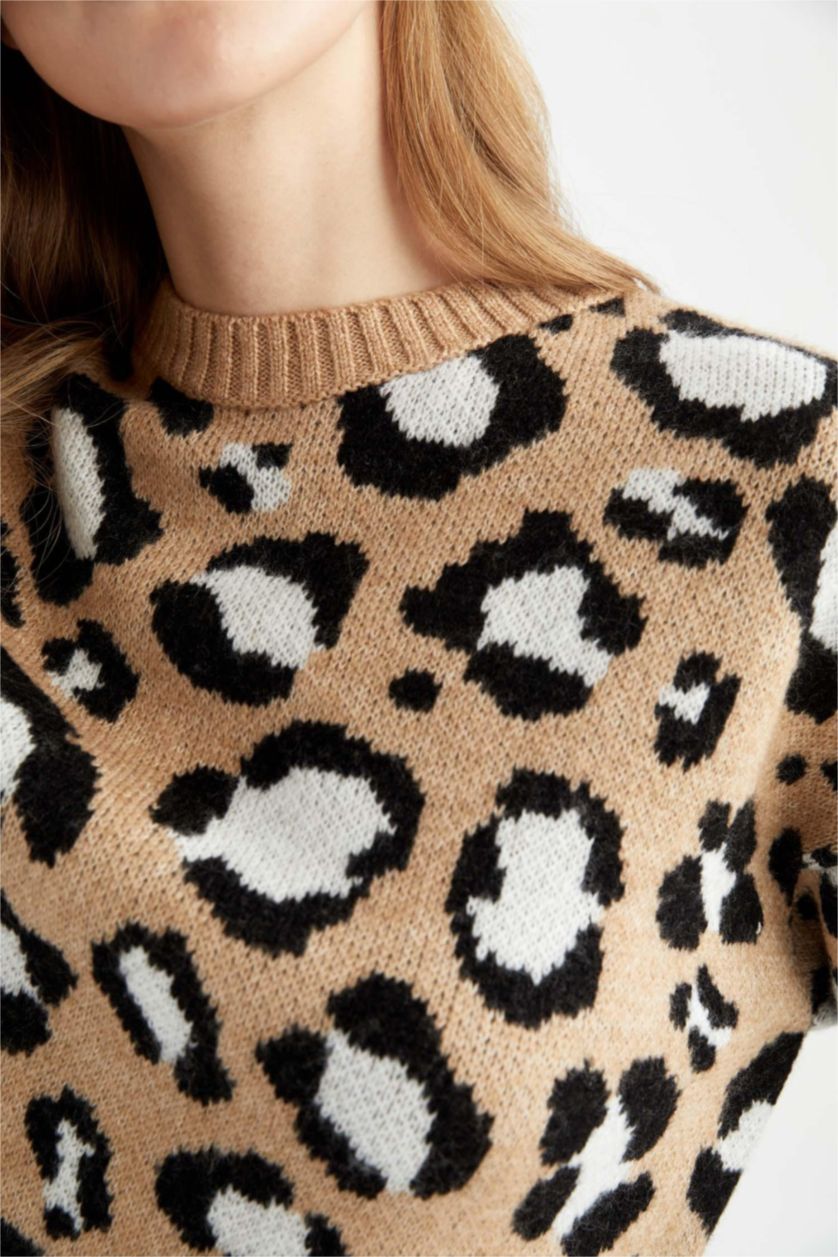 حريمي بيج بلوفر تايجر قصة عادية برقبة مستديرة