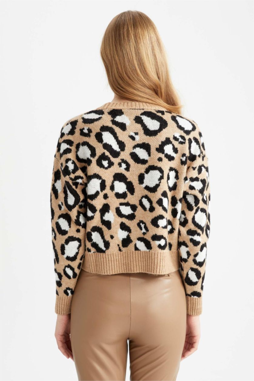 حريمي بيج بلوفر تايجر قصة عادية برقبة مستديرة