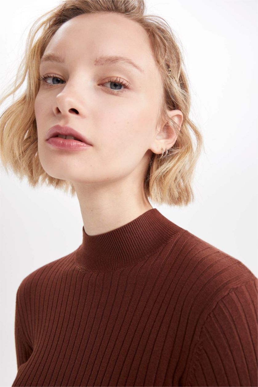 WOMAN Brown Slim Fit Half Turtleneck Pullover