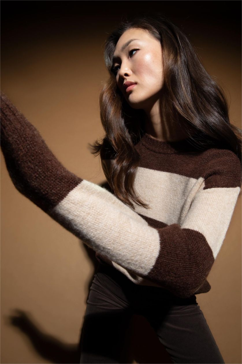 WOMAN Brown Regular Fit Crew Neck Sweater