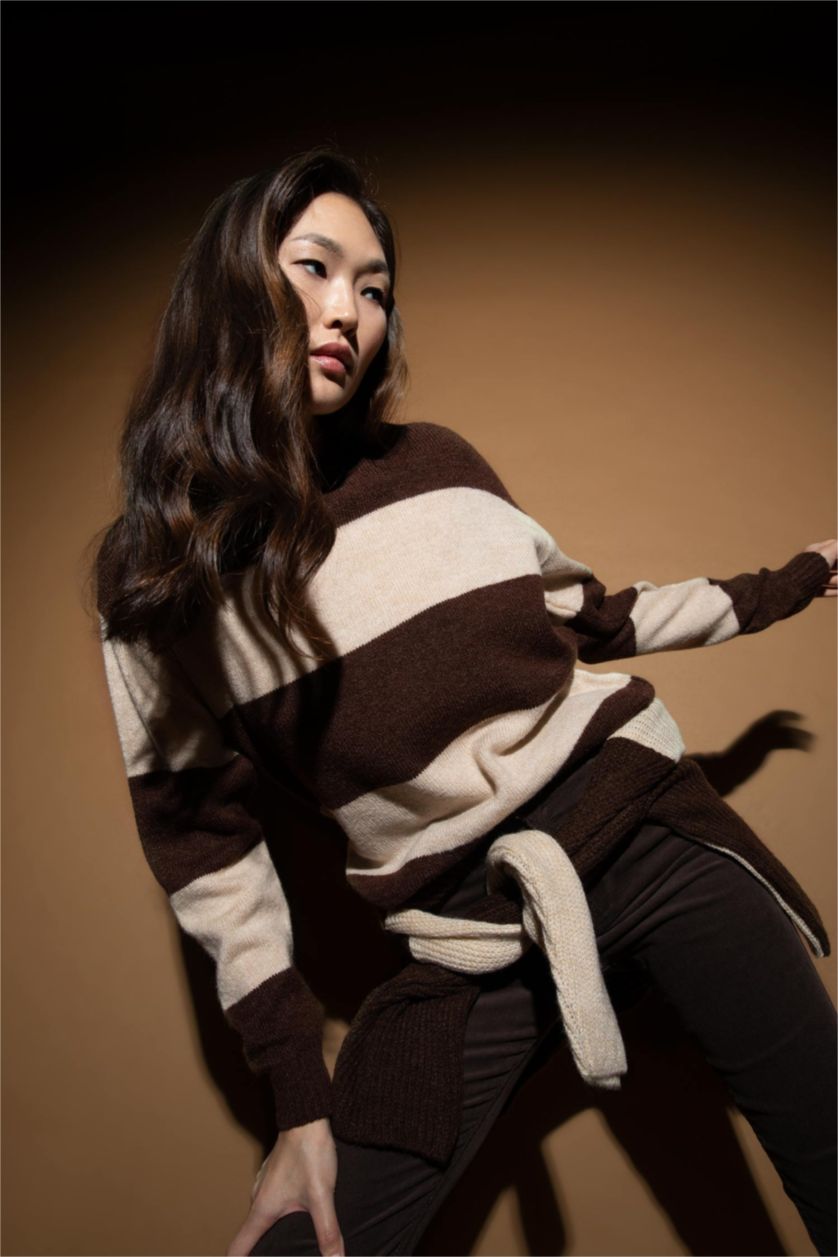 WOMAN Brown Regular Fit Crew Neck Sweater