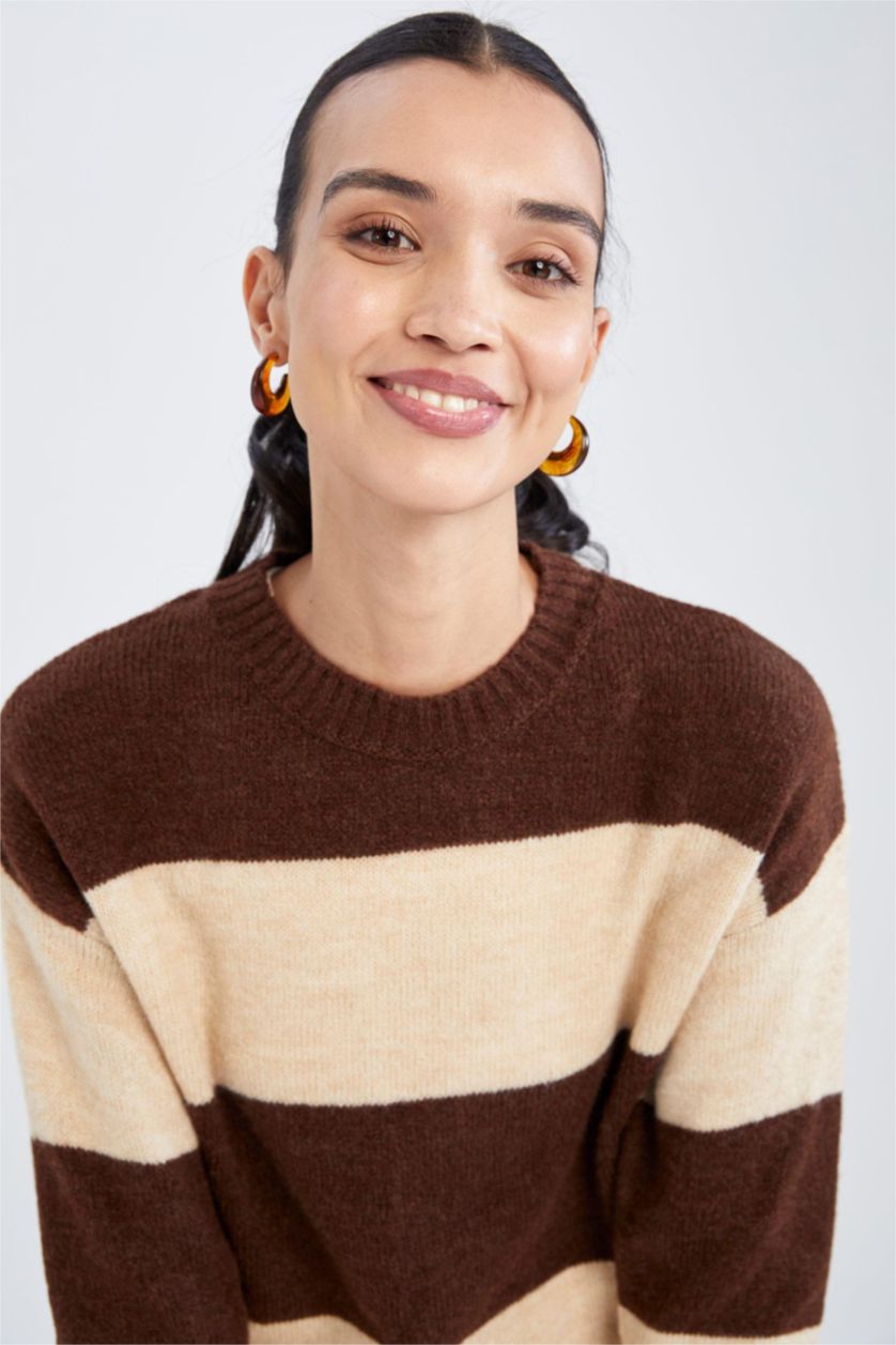 WOMAN Brown Regular Fit Crew Neck Sweater