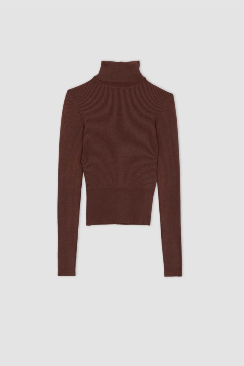 WOMAN Brown Fitted Turtleneck Rib Pullover