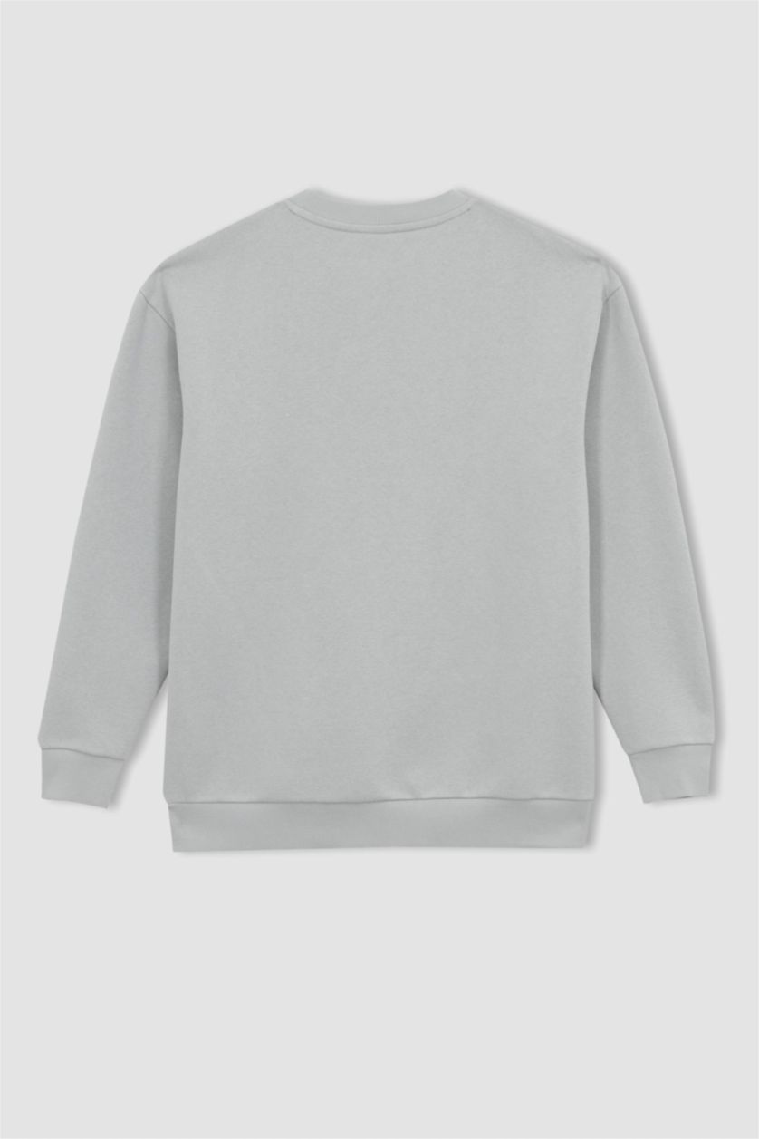 HOMME Gris Clair Sweat- Shirt Coupe boxy Col rond Manche Longue