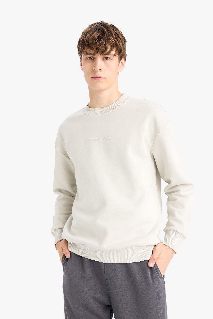 Erkek Taş Boxy Fit Bisiklet Yaka İçi Yumuşak Tüylü Baskılı Sweatshirt