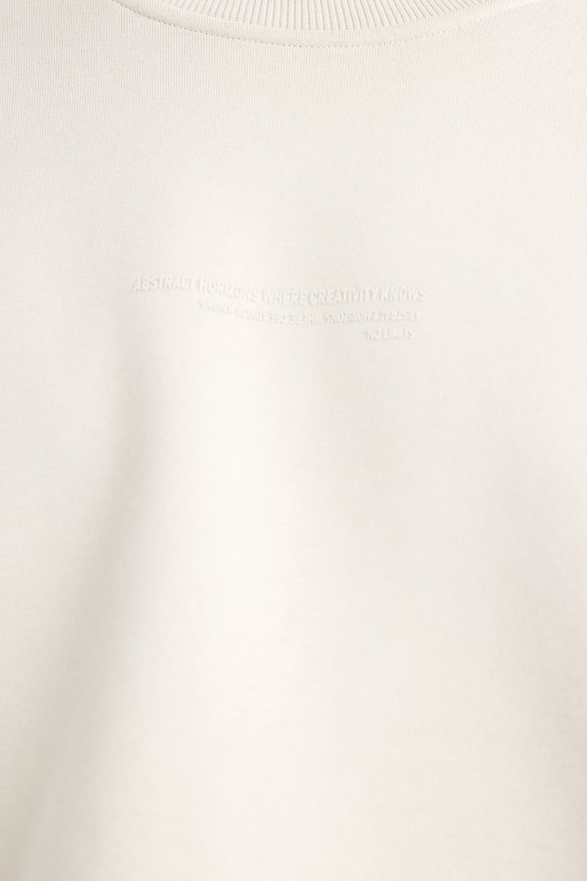 Erkek Taş Boxy Fit Bisiklet Yaka İçi Yumuşak Tüylü Baskılı Sweatshirt