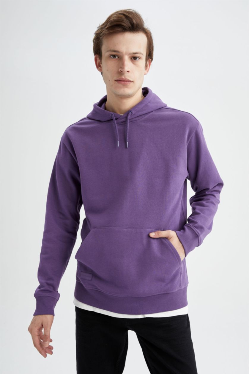 رجالي زهري سويت شيرت بقصة عادية بغطاء للرأس بريش ناعم من الداخل