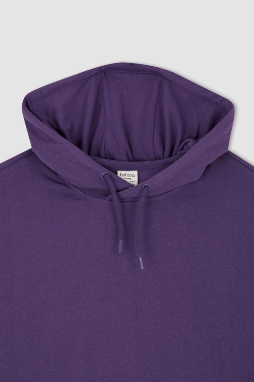 رجالي زهري سويت شيرت بقصة عادية بغطاء للرأس بريش ناعم من الداخل