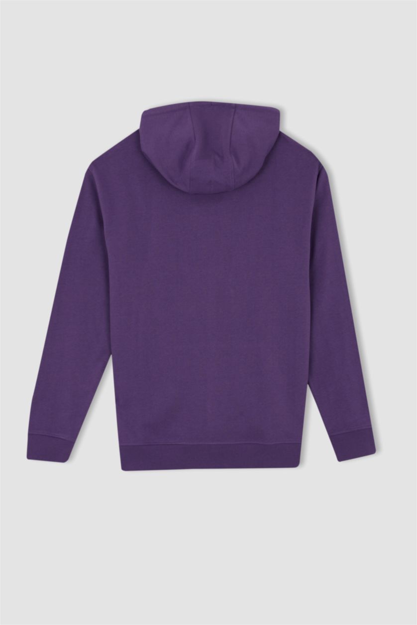 رجالي زهري سويت شيرت بقصة عادية بغطاء للرأس بريش ناعم من الداخل