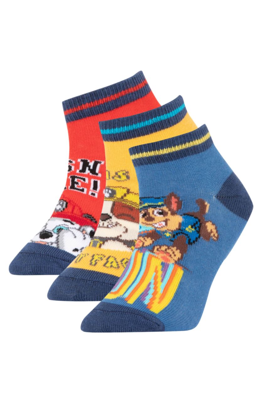 BOYS & TEENS MIXED Boys PAW Patrol Cotton 3 Pack Booties Socks