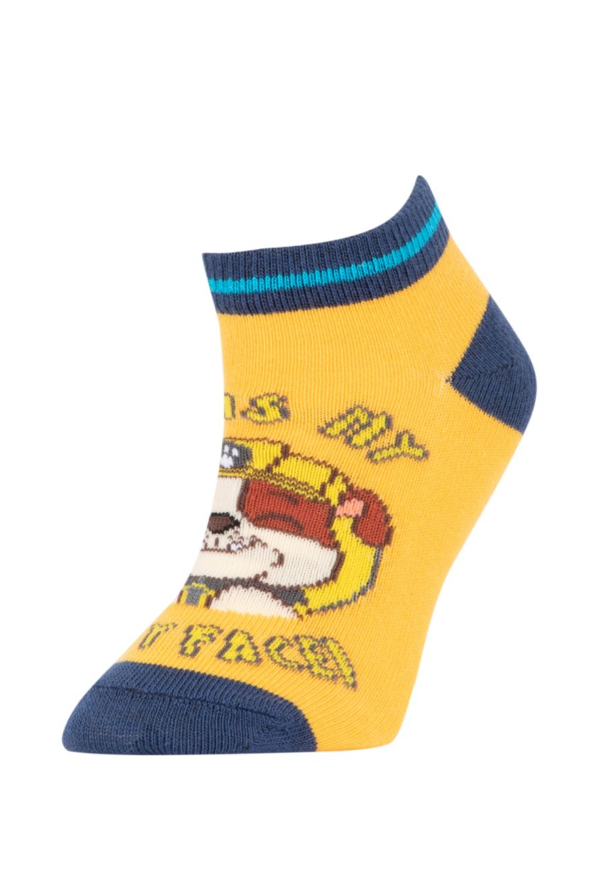 BOYS & TEENS MIXED Boys PAW Patrol Cotton 3 Pack Booties Socks