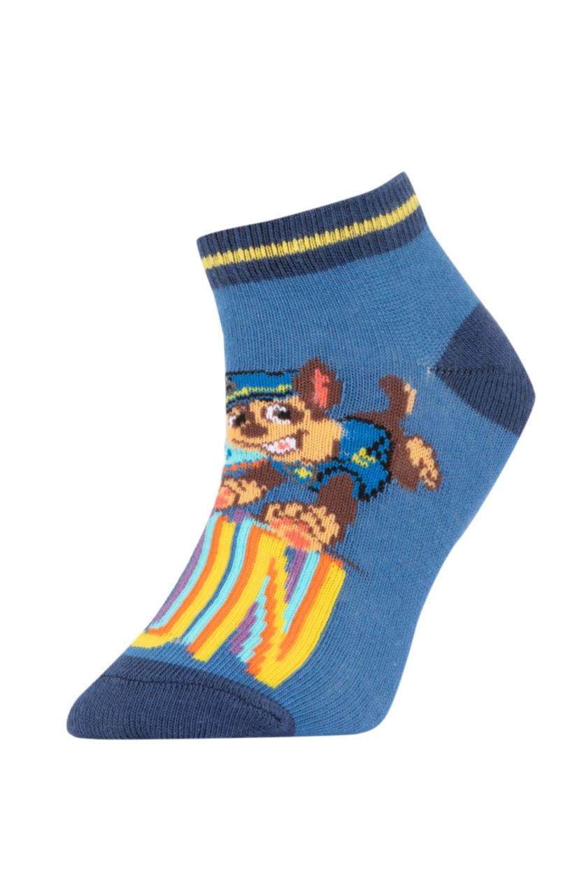 BOYS & TEENS MIXED Boys PAW Patrol Cotton 3 Pack Booties Socks