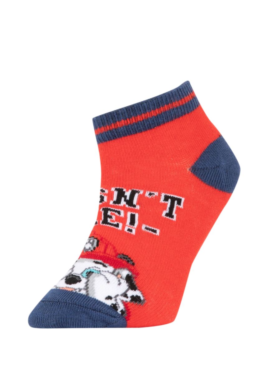 BOYS & TEENS MIXED Boys PAW Patrol Cotton 3 Pack Booties Socks