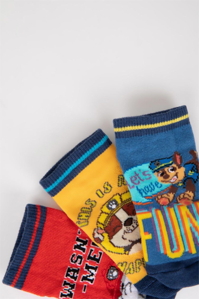 BOYS & TEENS MIXED Boys PAW Patrol Cotton 3 Pack Booties Socks