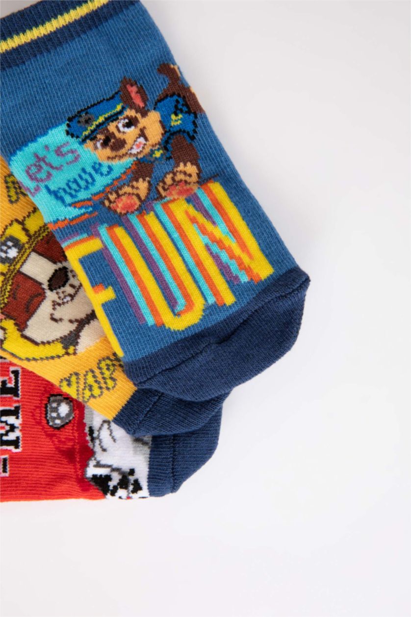 BOYS & TEENS MIXED Boys PAW Patrol Cotton 3 Pack Booties Socks