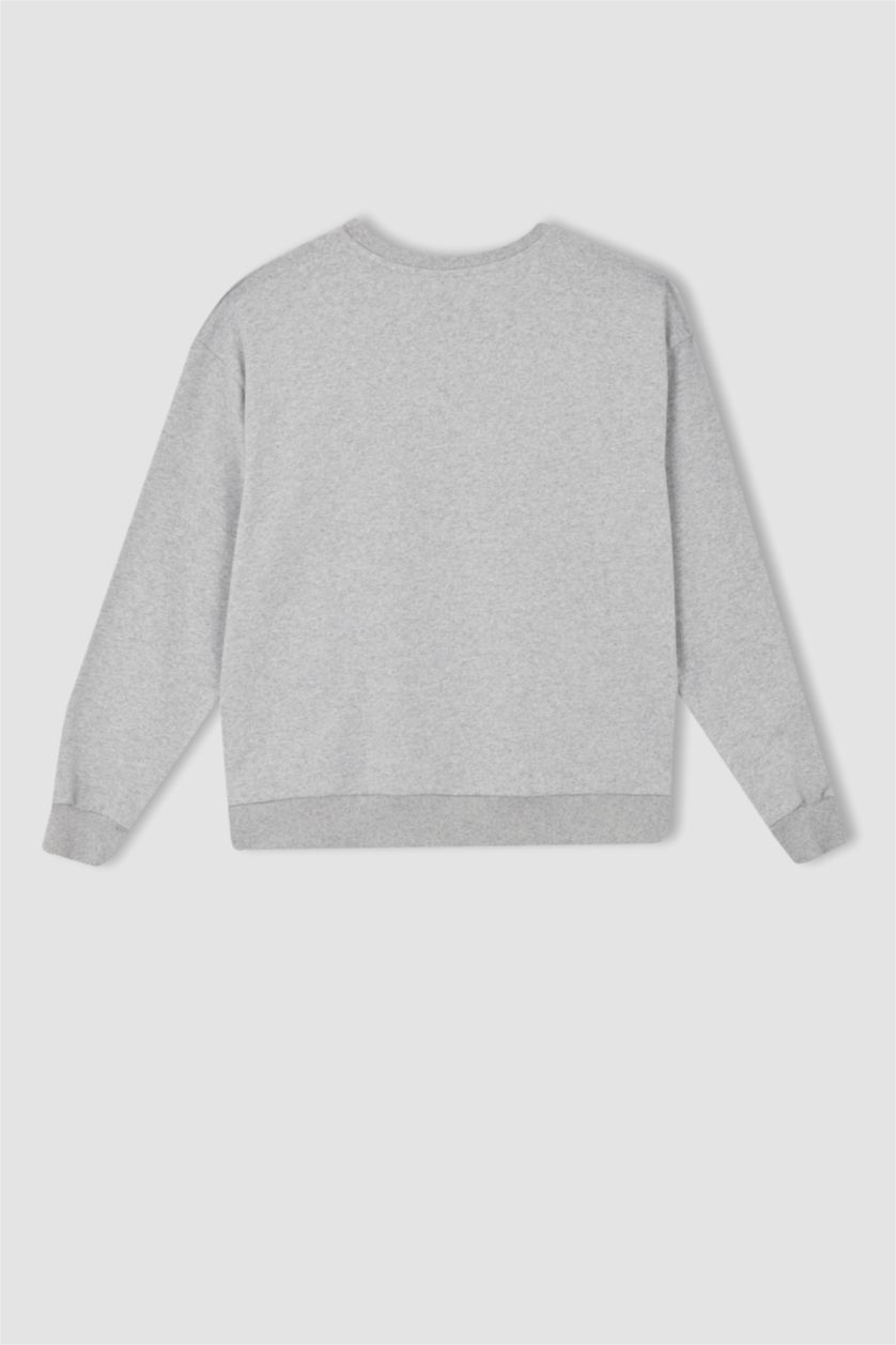 WOMAN Grey Melange Regular Fit Thin Sweatshirt Fabric Sweatshirt