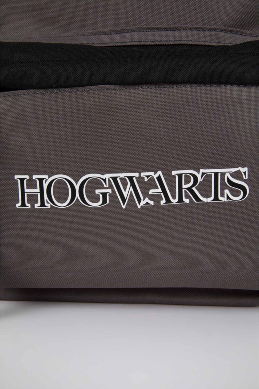 Erkek Çocuk - Genç Erkek Gri Harry Potter Okul Sırt Çantası Erkek Çocuk