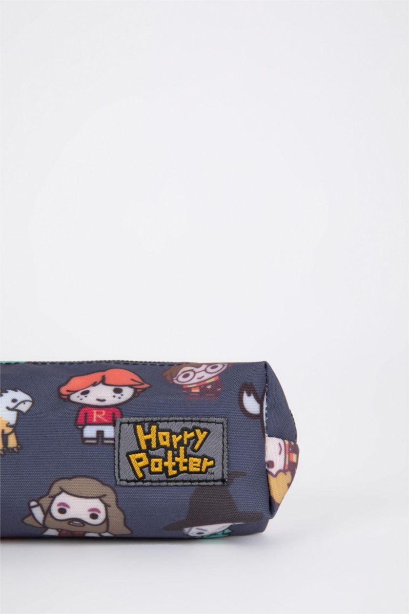 Erkek Çocuk - Genç Erkek Karma Erkek Çocuk Harry Potter Kendi Kendini Onaran Su Tutmayan Kumaş Sırt Çantası
