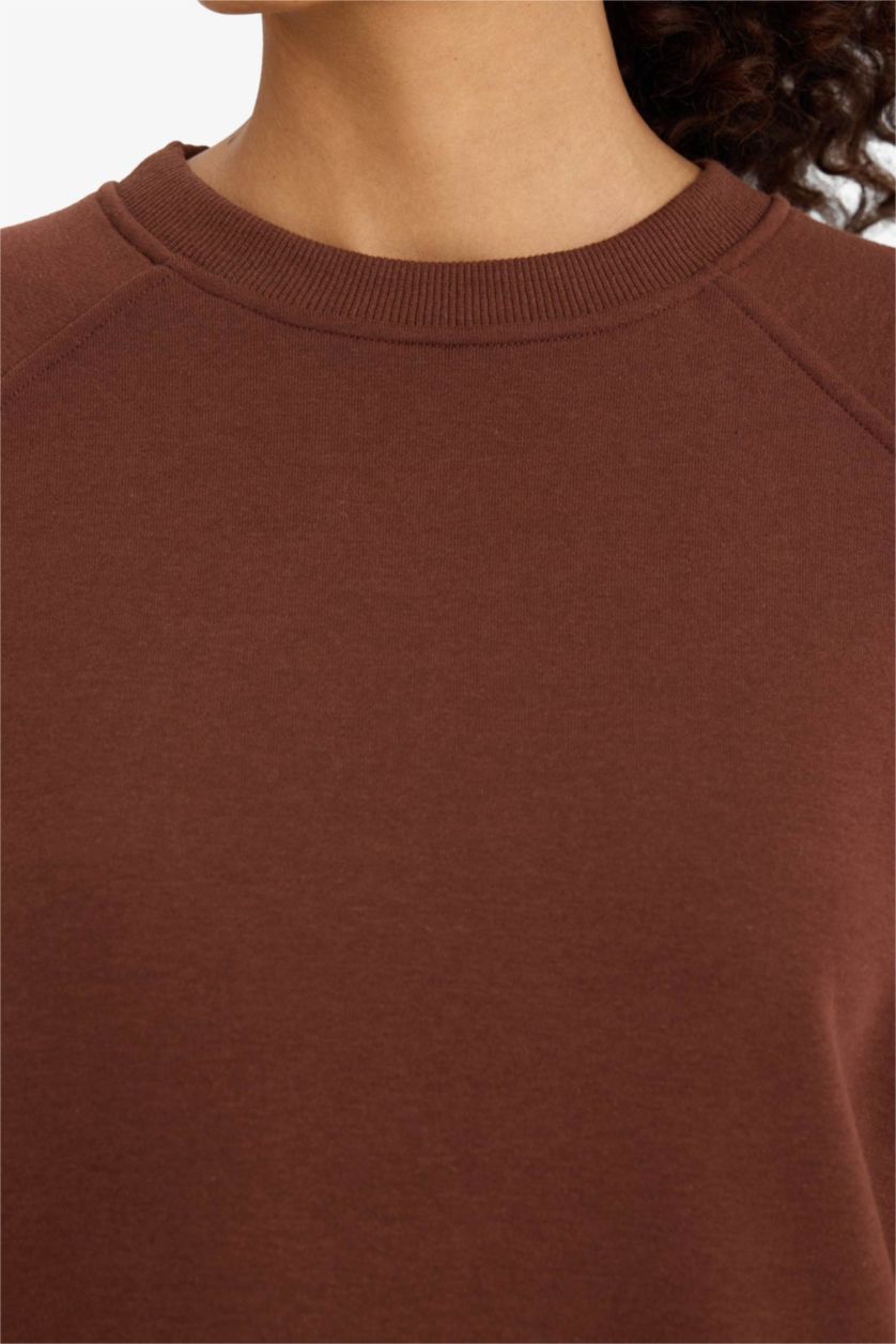 Женщины Коричневый Оверсайз, свободный покрой, круглый вырез, базовая, простая толстая толстовка