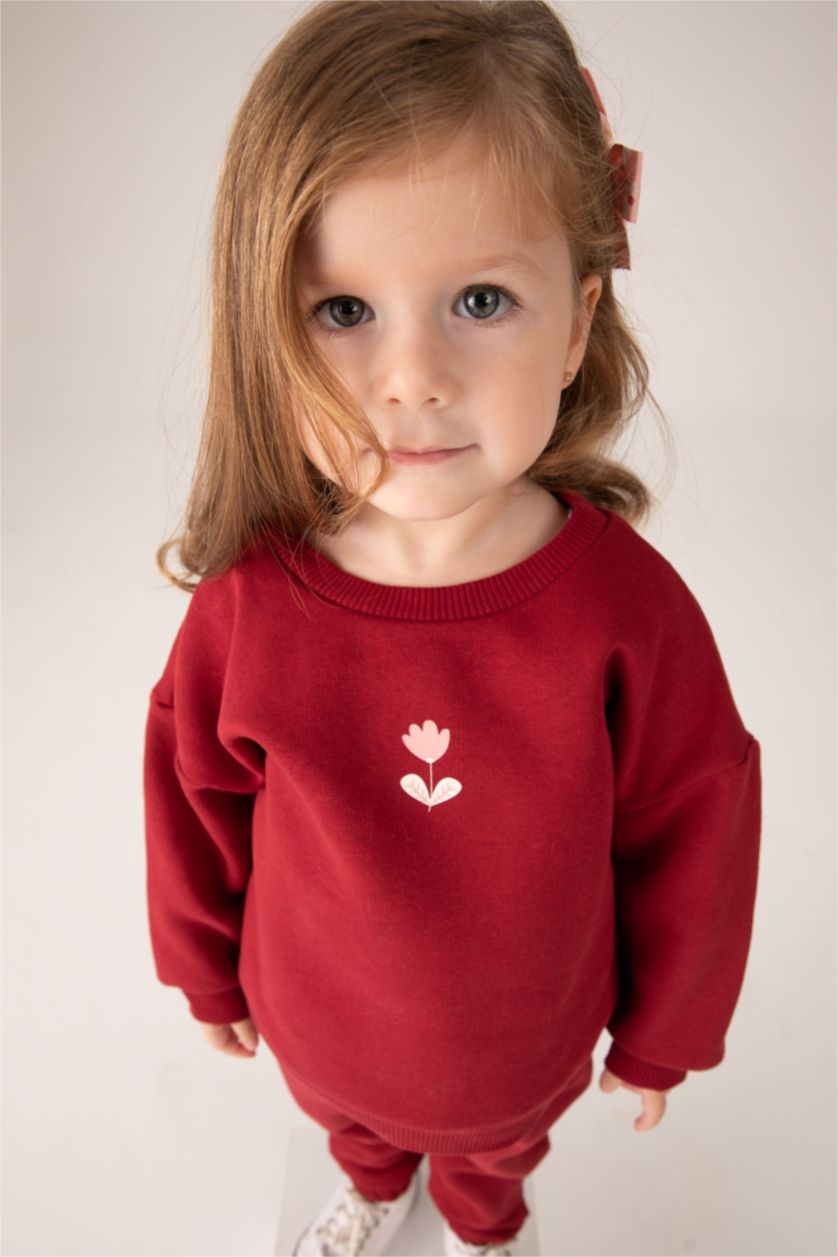 BÉBÉ FILLE Bordeaux Sweat- Shirt Tissu Sweat Épais Coupe Régulière Col Ras Du Cou