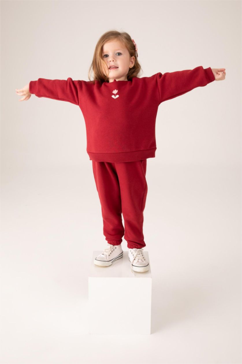 BÉBÉ FILLE Bordeaux Sweat- Shirt Tissu Sweat Épais Coupe Régulière Col Ras Du Cou