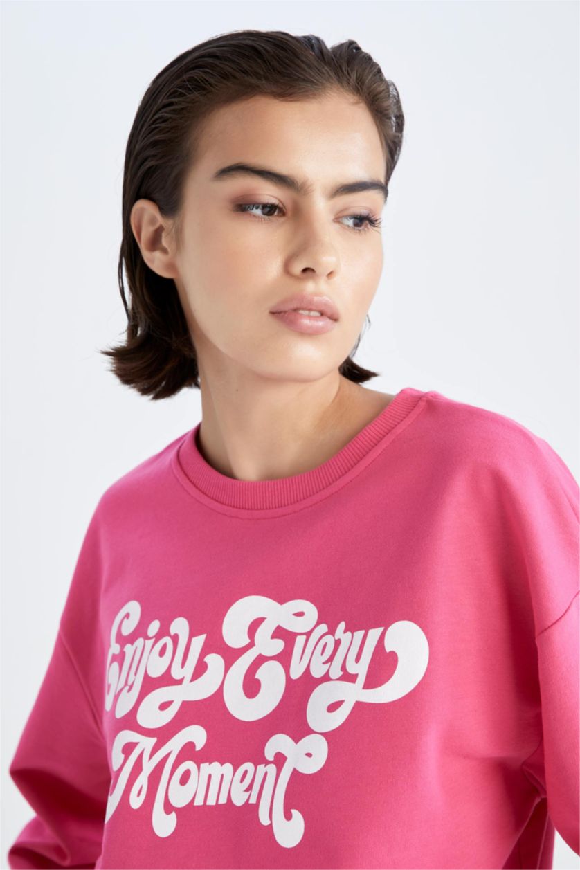 FEMME Rose Sweat-shirt en tissu fin imprimé à manches longues et col rond coupe classique
