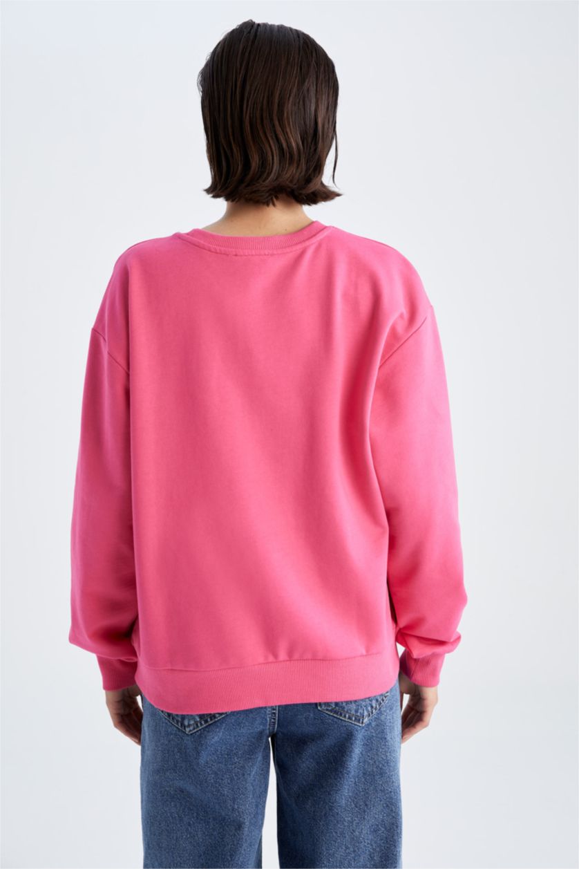 FEMME Rose Sweat-shirt en tissu fin imprimé à manches longues et col rond coupe classique
