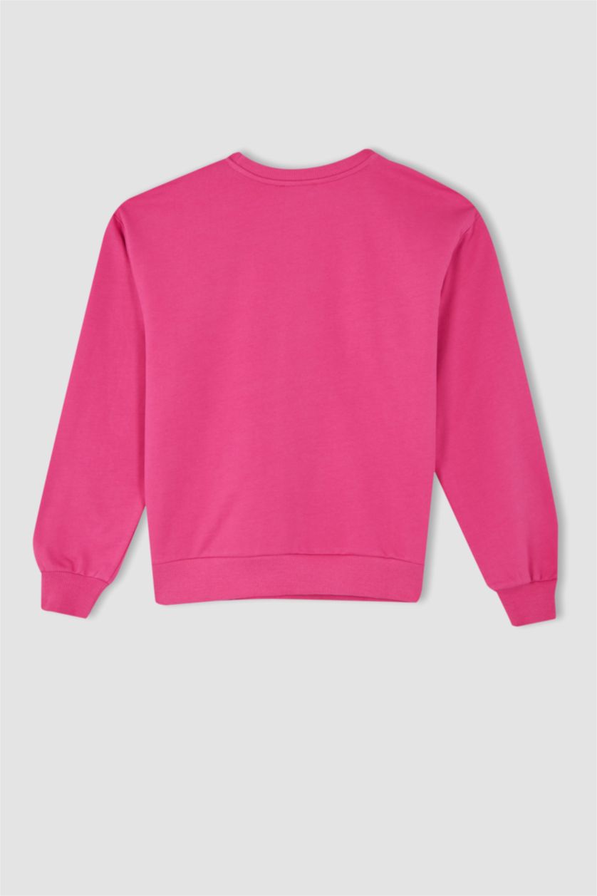 FEMME Rose Sweat-shirt en tissu fin imprimé à manches longues et col rond coupe classique