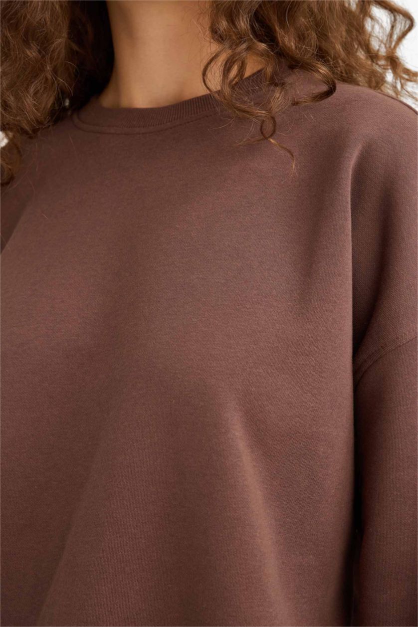 Женщины Коричневый Толстая толстовка Oversize для школы с круглым вырезом и из плотной ткани