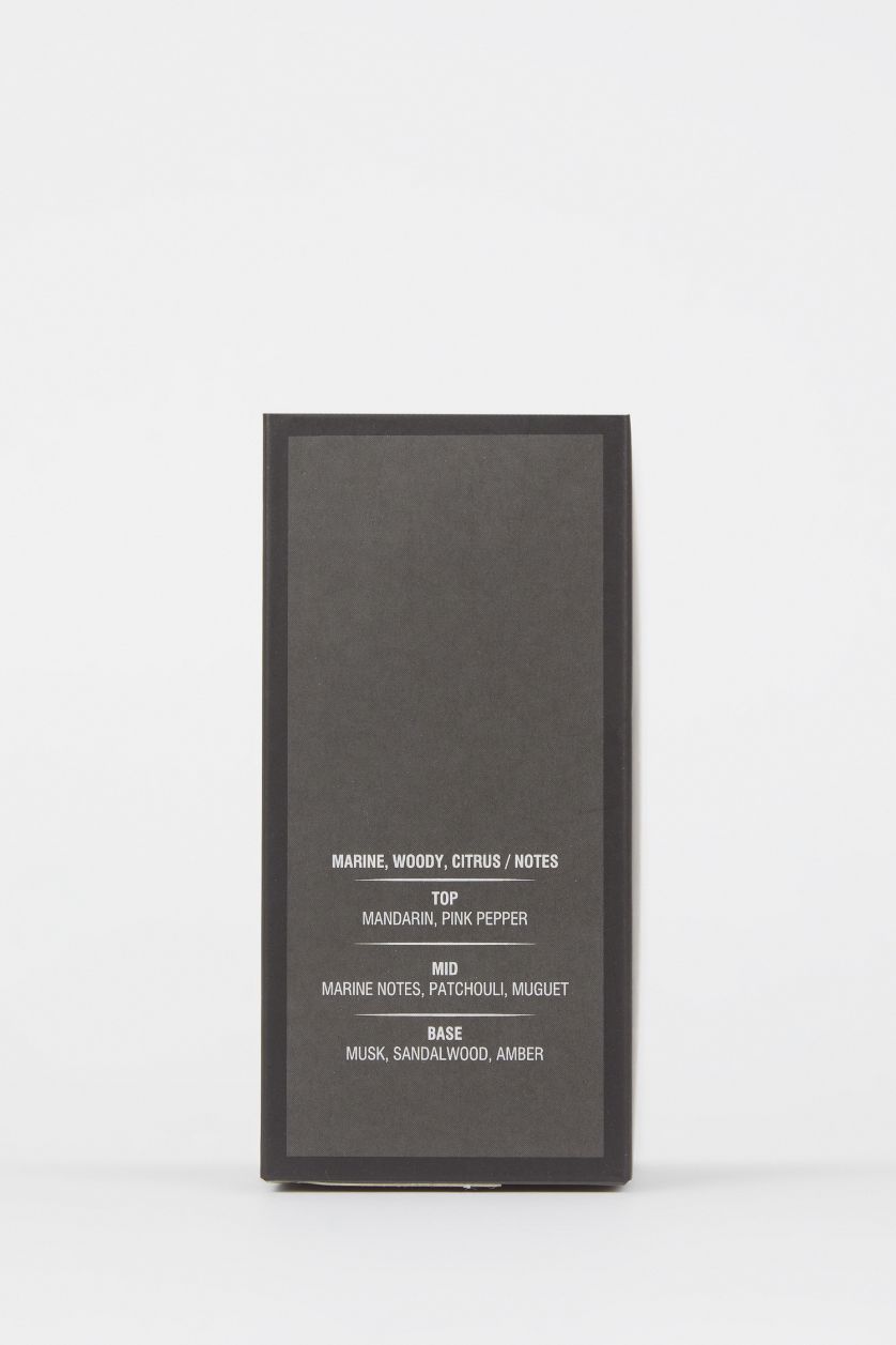 Man Gümüş Silver Aromatic 100 ml Man Perfume