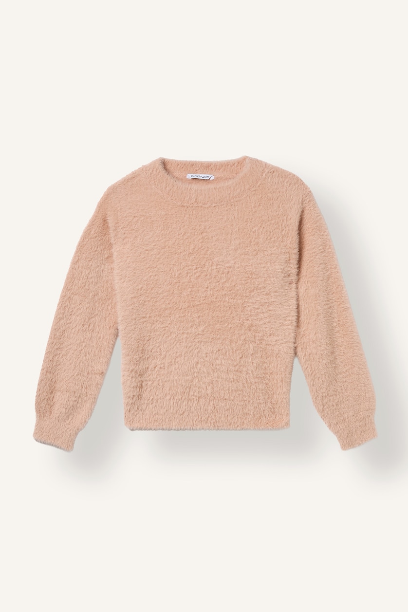 GIRLS & TEENS Salmon Girl Regular Fit Crew Neck Pullover