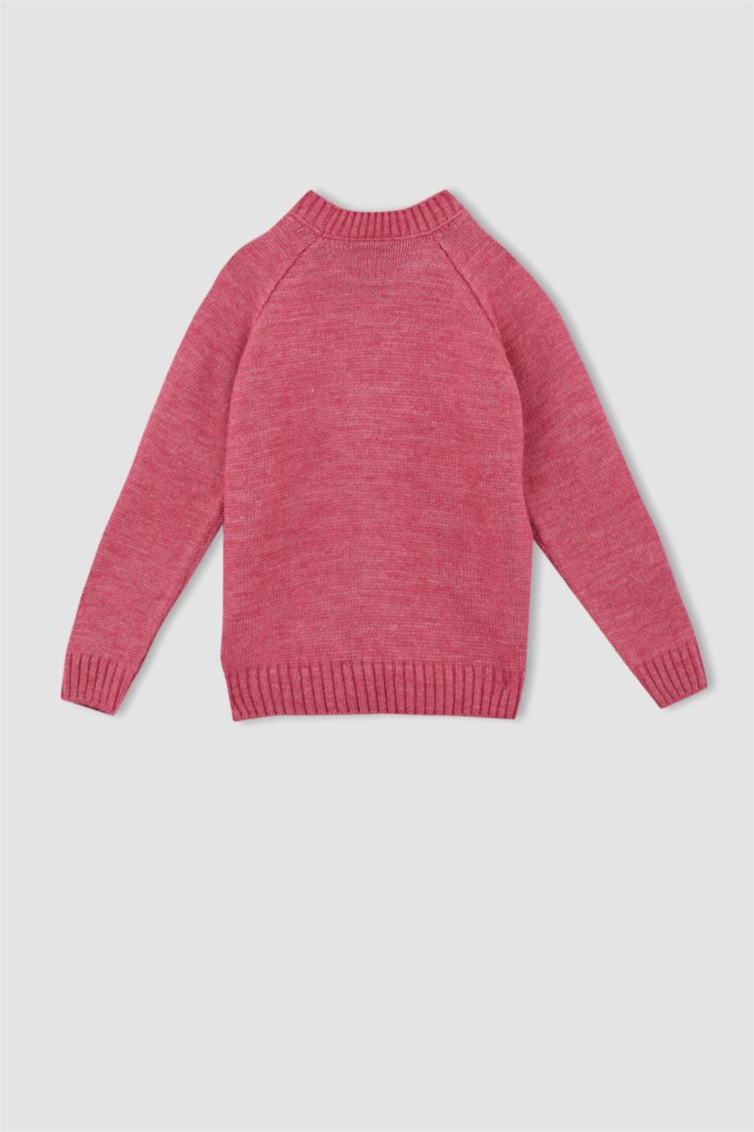 Girls & Teens Fushsia Girls Oversize Fit Crew Neck Pullover