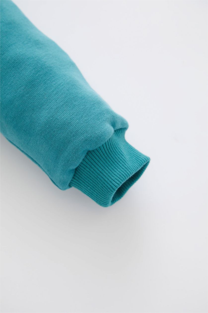 BABY BOY Green  Baby Boy Regular Fit Lion King Licensed Crew Neck Sweatshirt