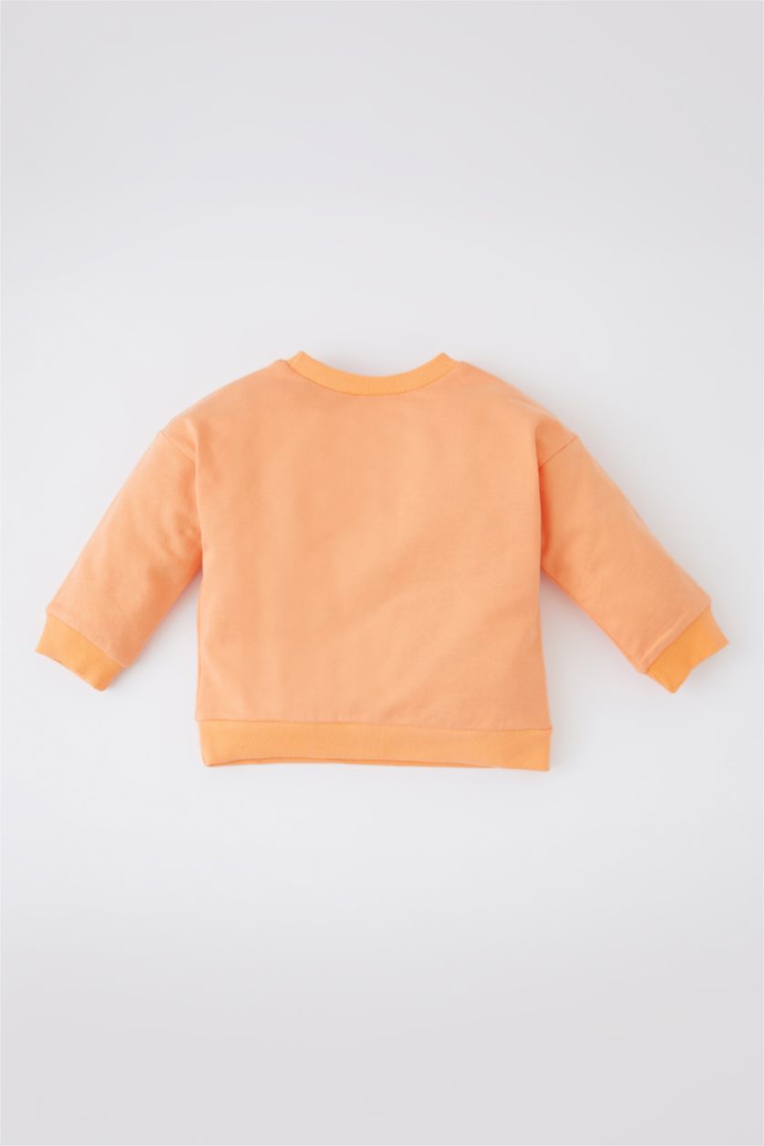 BABY BOY Orange Regular Fit Slogan Crew Neck Sweatshirt