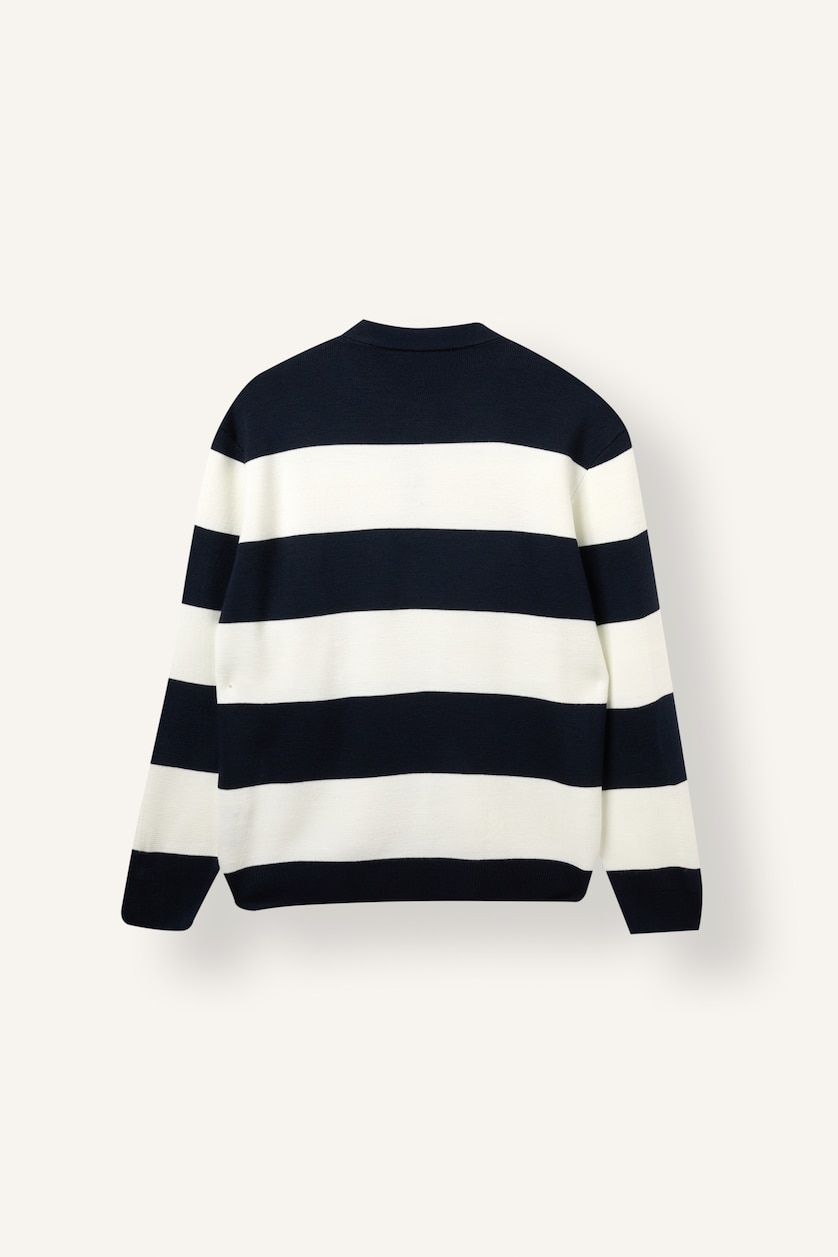 Men NAVY Standard Fit Knitwear Pullover