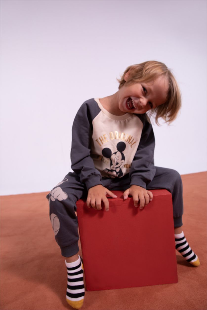 BÉBÉ GARÇON Beige Sweat- Shirt Tissu Sweat Fin Coupe Régulière Col Ras Du Cou Mickey & Minnie (Standard Characters)