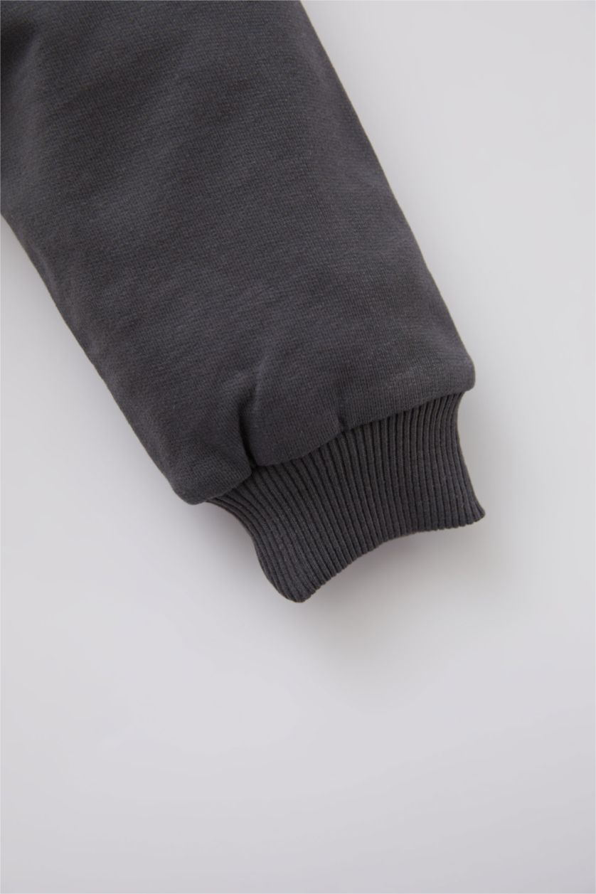 BÉBÉ GARÇON Beige Sweat- Shirt Tissu Sweat Fin Coupe Régulière Col Ras Du Cou Mickey & Minnie (Standard Characters)